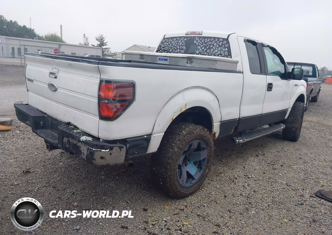 2010 Ford F-150 Stx-Xl-Xlt VIN:1FTEX1E89AFD03086 - 4