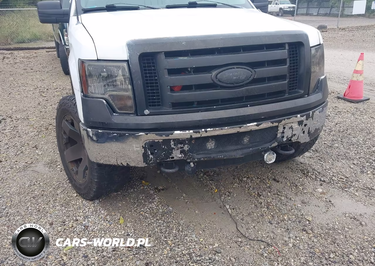 2010 Ford F-150 Stx-Xl-Xlt VIN:1FTEX1E89AFD03086 - 6