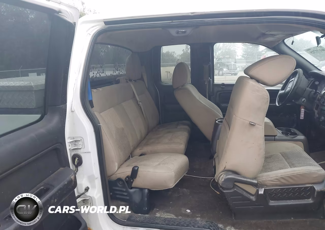 2010 Ford F-150 Stx-Xl-Xlt VIN:1FTEX1E89AFD03086 - 8