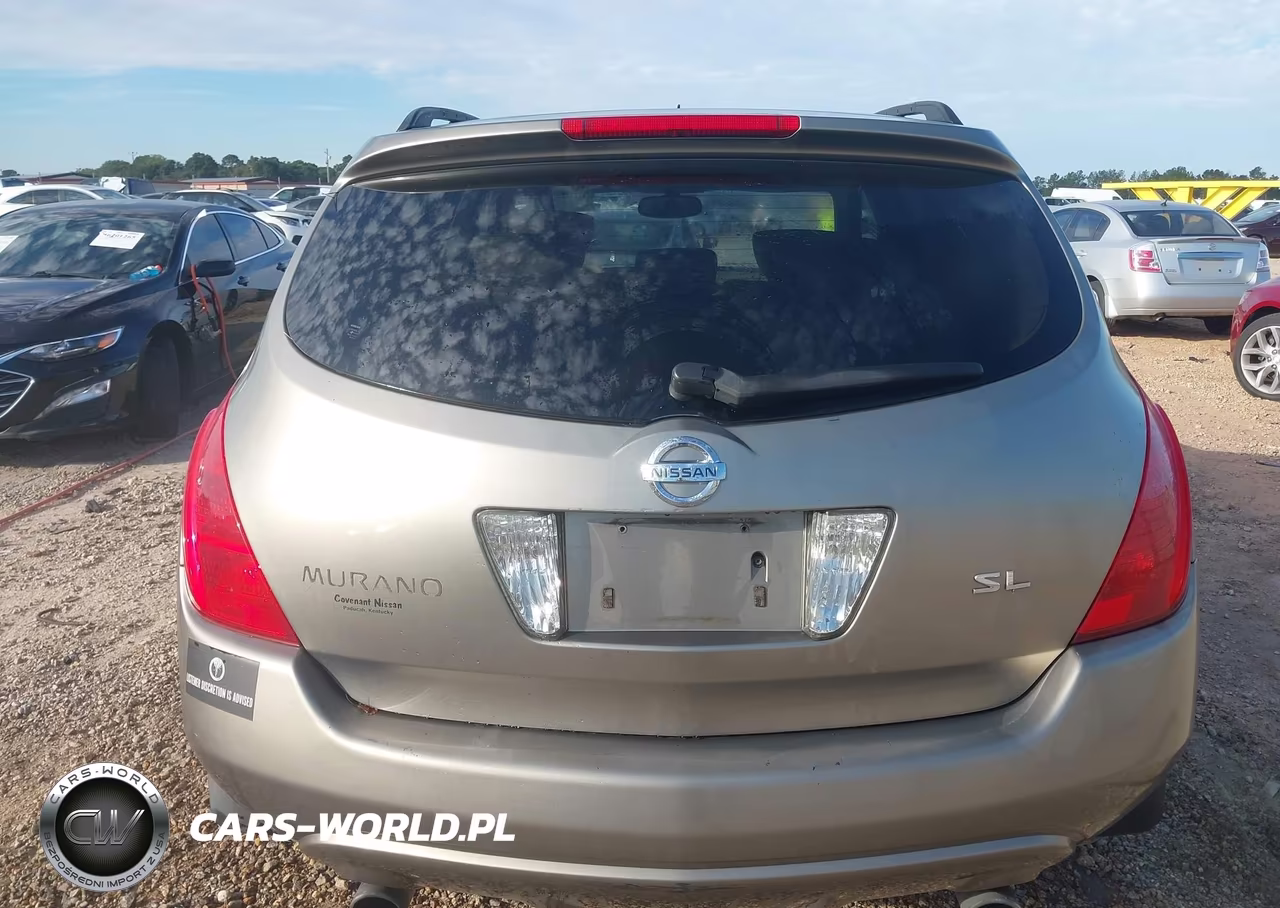 2004 Nissan Murano Sl VIN:JN8AZ08T14W216861 - 17