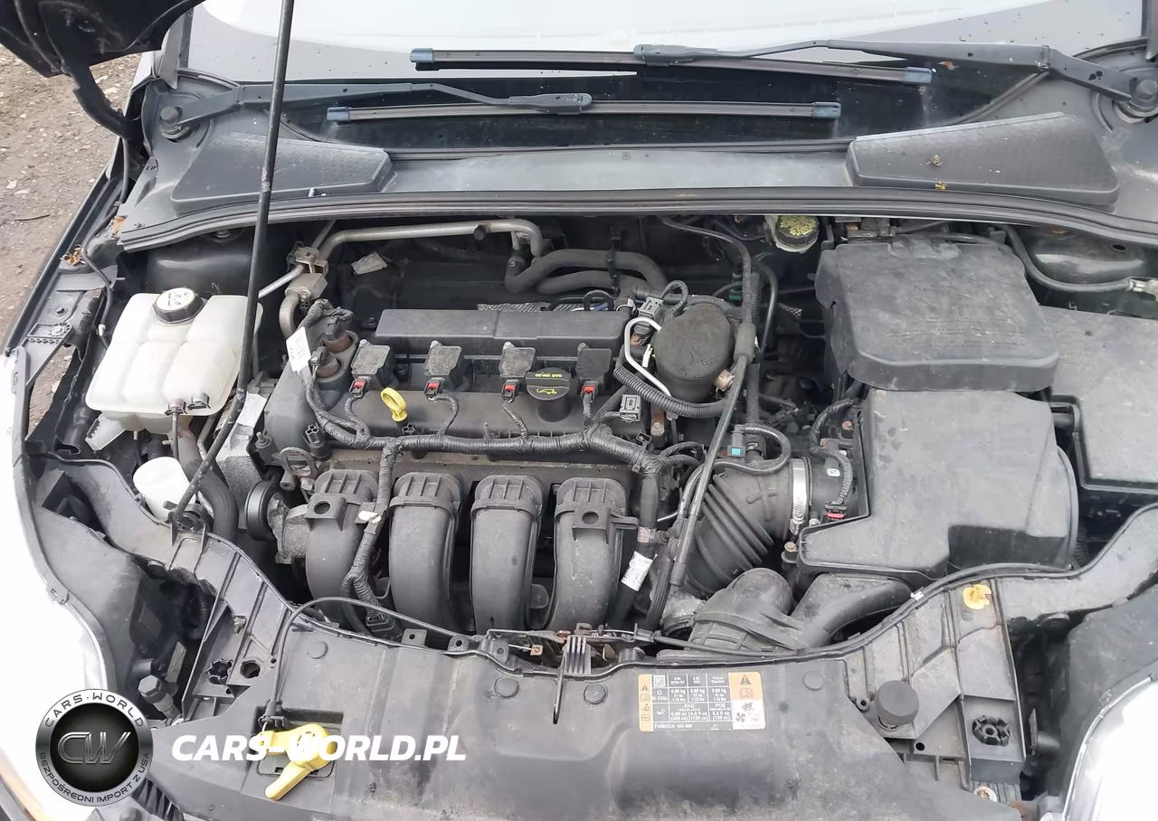 2014 Ford Focus Se VIN:1FADP3F2XEL301474 - 10