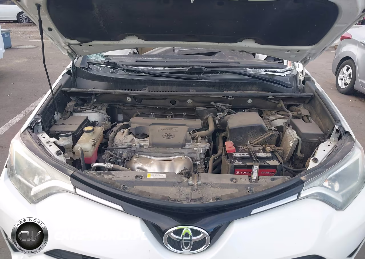 2016 Toyota Rav4 Xle VIN:2T3WFREV0GW308566 - 10