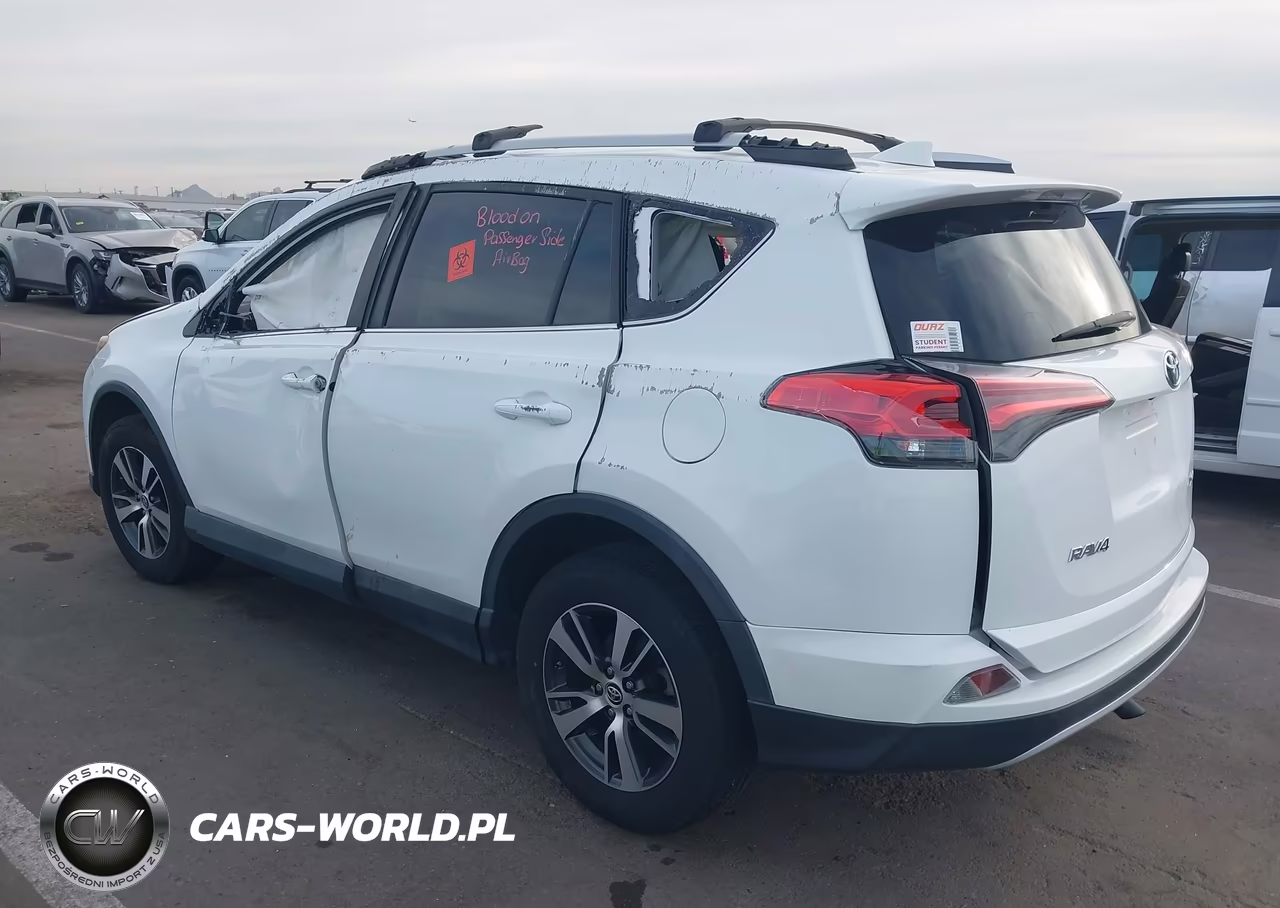2016 Toyota Rav4 Xle VIN:2T3WFREV0GW308566 - 3