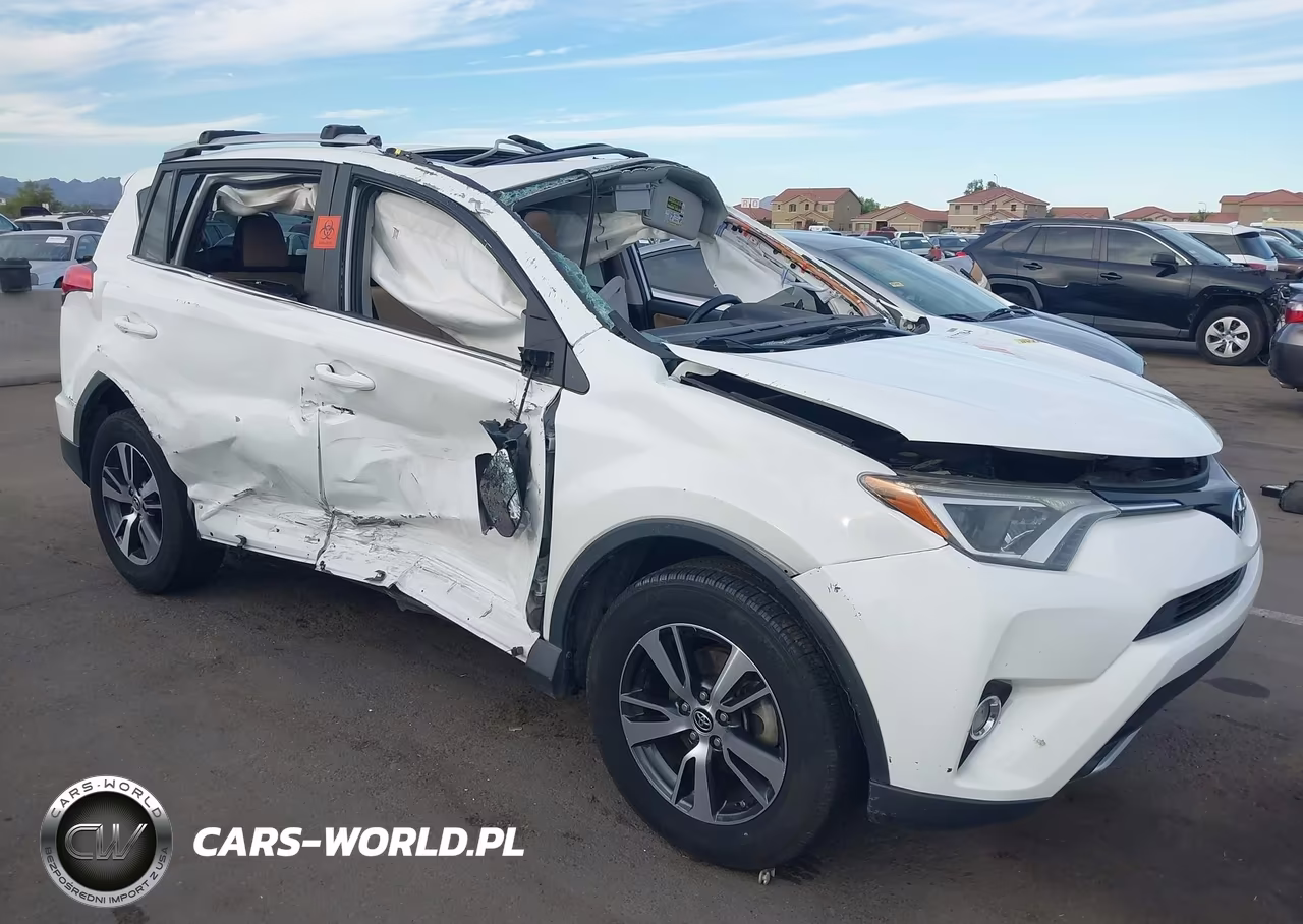 2016 Toyota Rav4 Xle VIN:2T3WFREV0GW308566 - 6