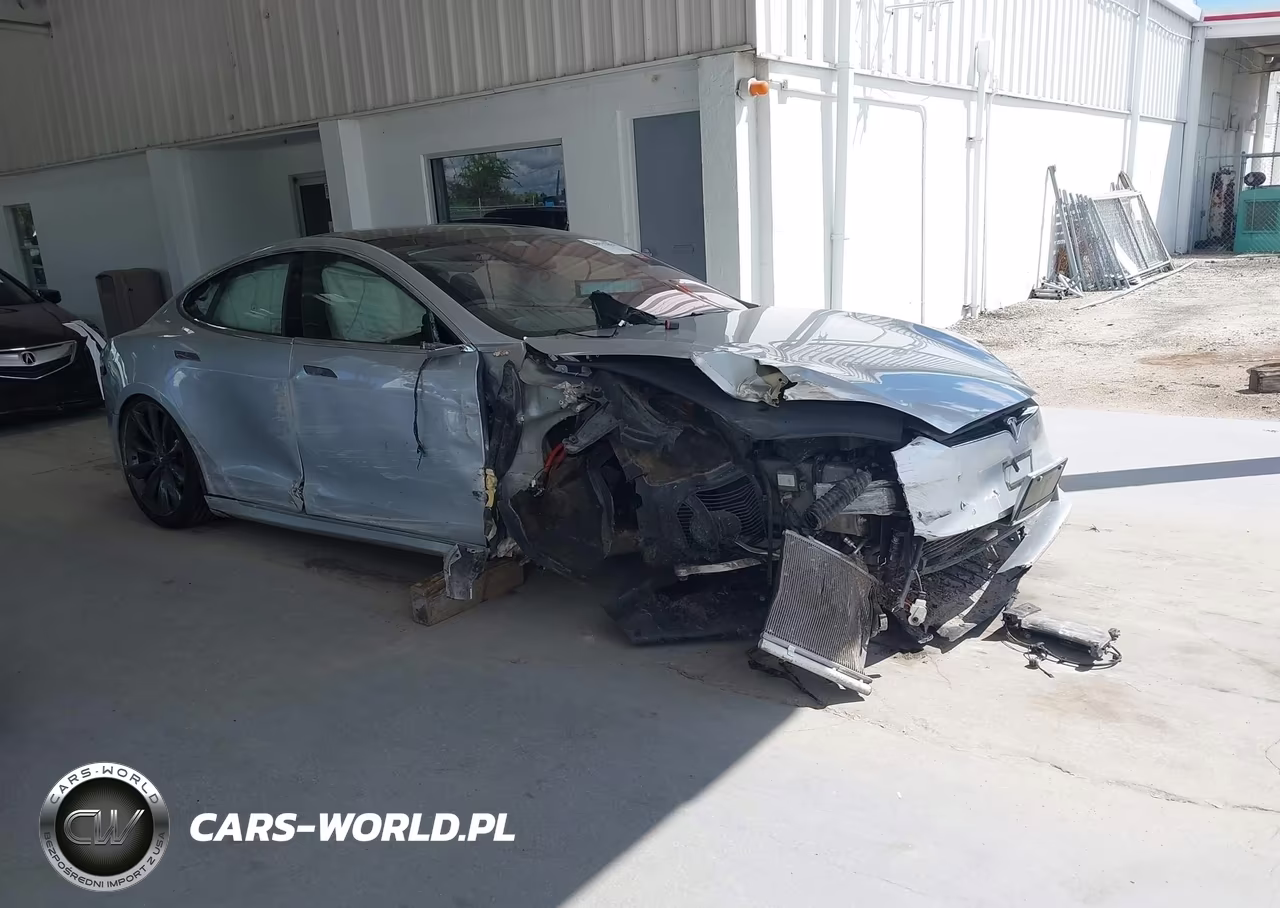 2017 Tesla Model S 100D-60D-75D-90D-P100D VIN:5YJSA1E23HF178679 - 1