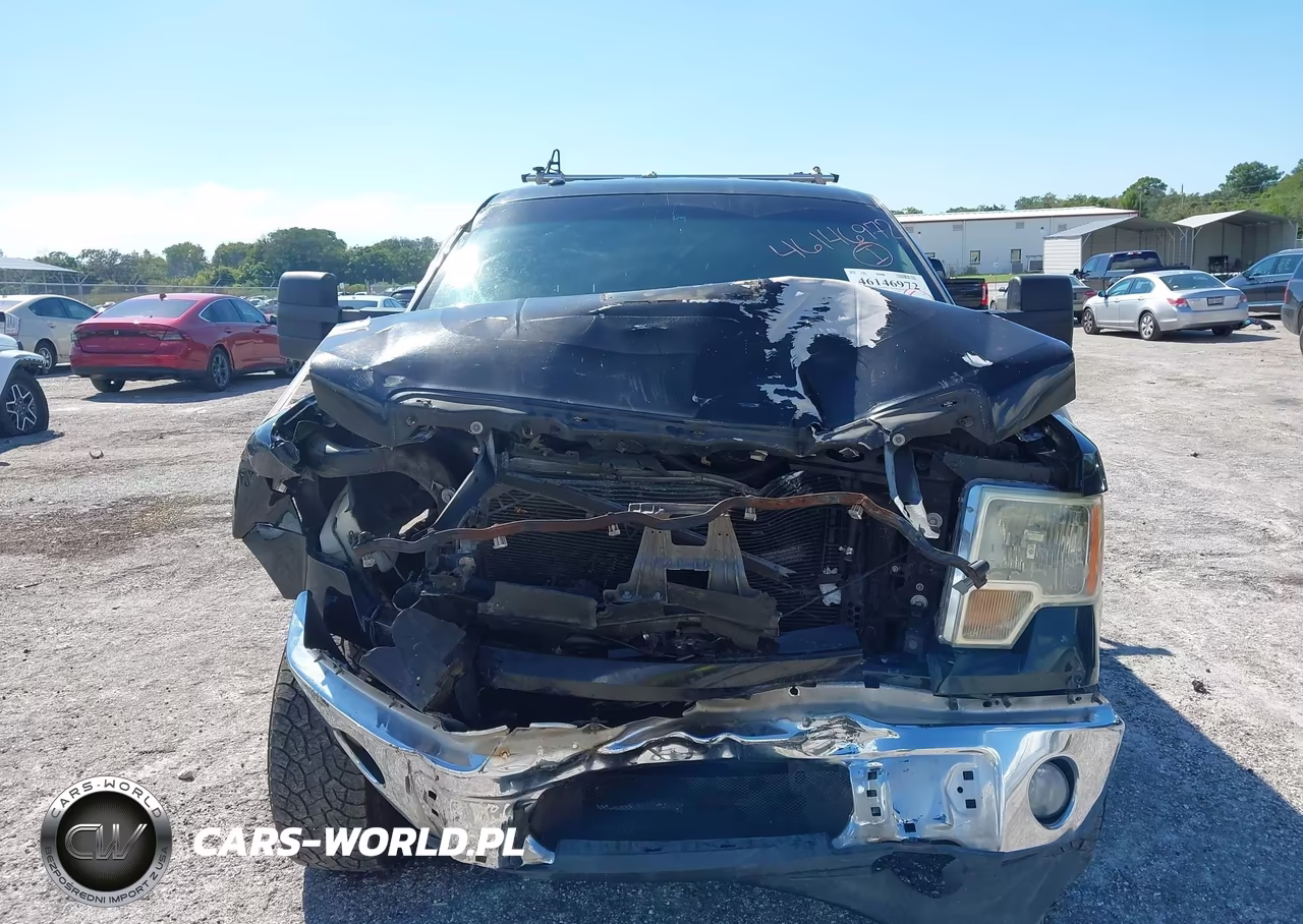 2012 Ford F-150 Xlt VIN:1FTFW1ET1CKE29822 - 12