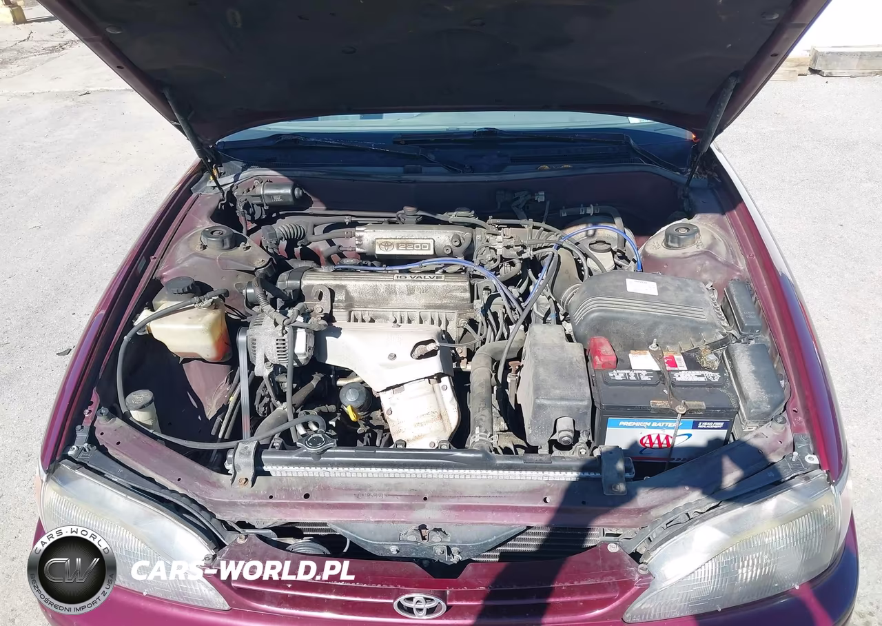 1996 Toyota Camry Dx-Le-Xle VIN:4T1BG12K5TU770177 - 10