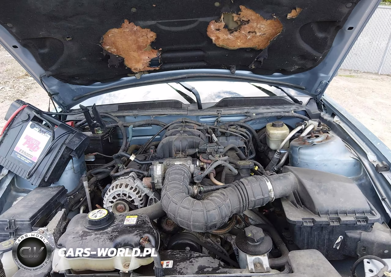 2007 Ford Mustang V6 Deluxe-V6 Premium VIN:1ZVFT84NX75324251 - 10