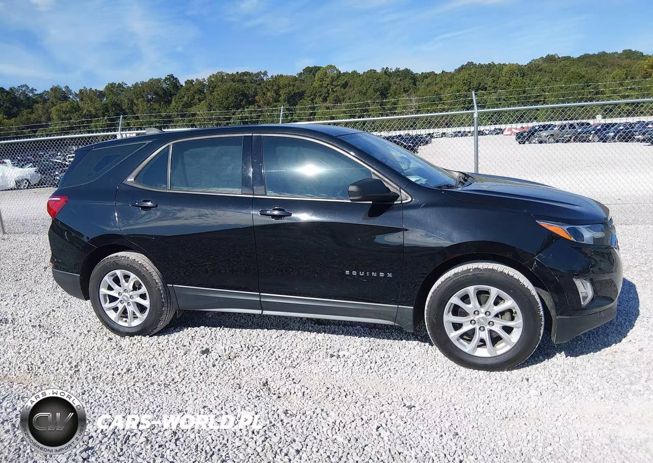 2019 Chevrolet Equinox Ls VIN:3GNAXHEV5KL239446 - 13