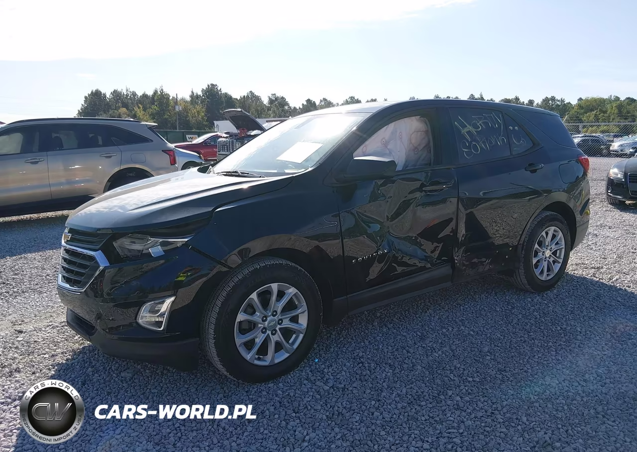 2019 Chevrolet Equinox Ls VIN:3GNAXHEV5KL239446 - 2
