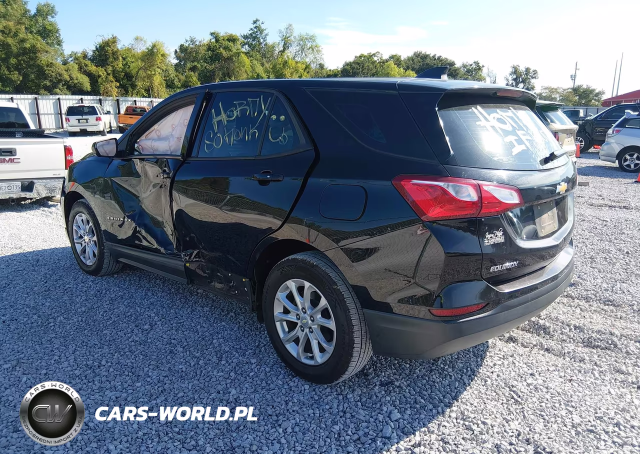 2019 Chevrolet Equinox Ls VIN:3GNAXHEV5KL239446 - 3
