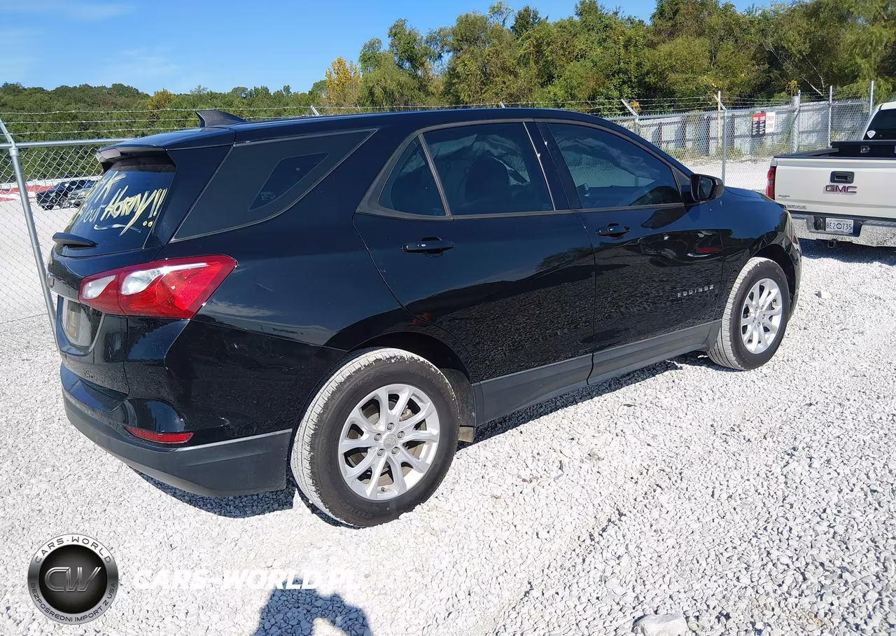 2019 Chevrolet Equinox Ls VIN:3GNAXHEV5KL239446 - 4