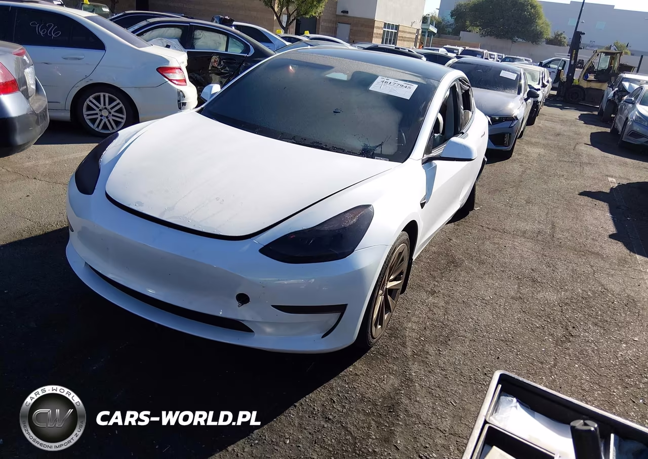 2023 Tesla Model 3 Rear-Wheel Drive VIN:5YJ3E1EA8PF493007 - 2