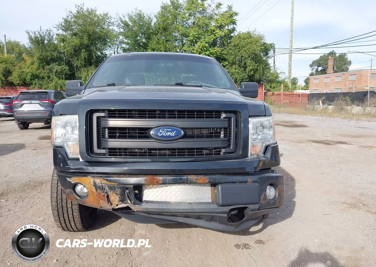 2013 Ford F-150 Stx VIN:1FTFX1EF8DFA14532 - 12