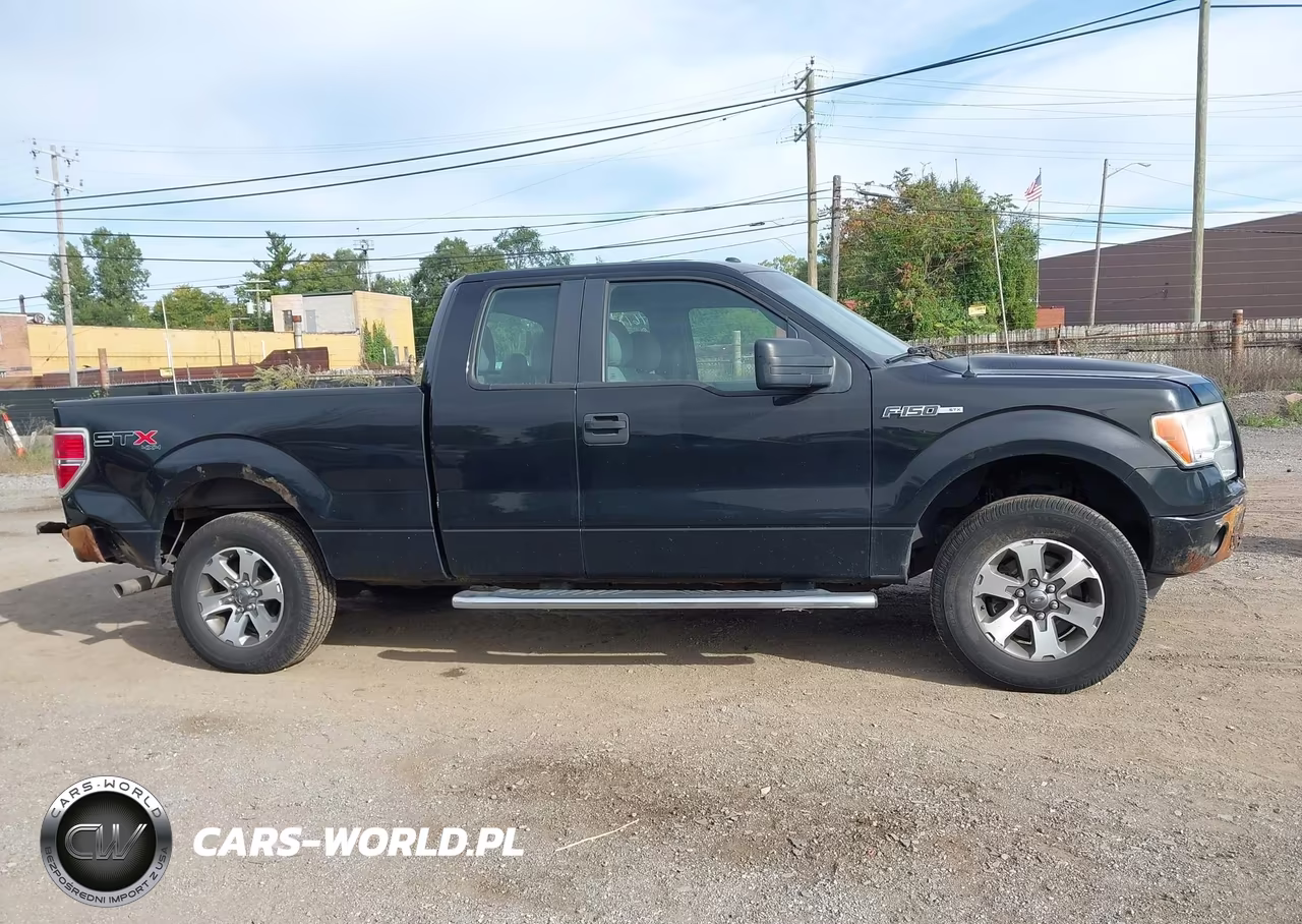2013 Ford F-150 Stx VIN:1FTFX1EF8DFA14532 - 13