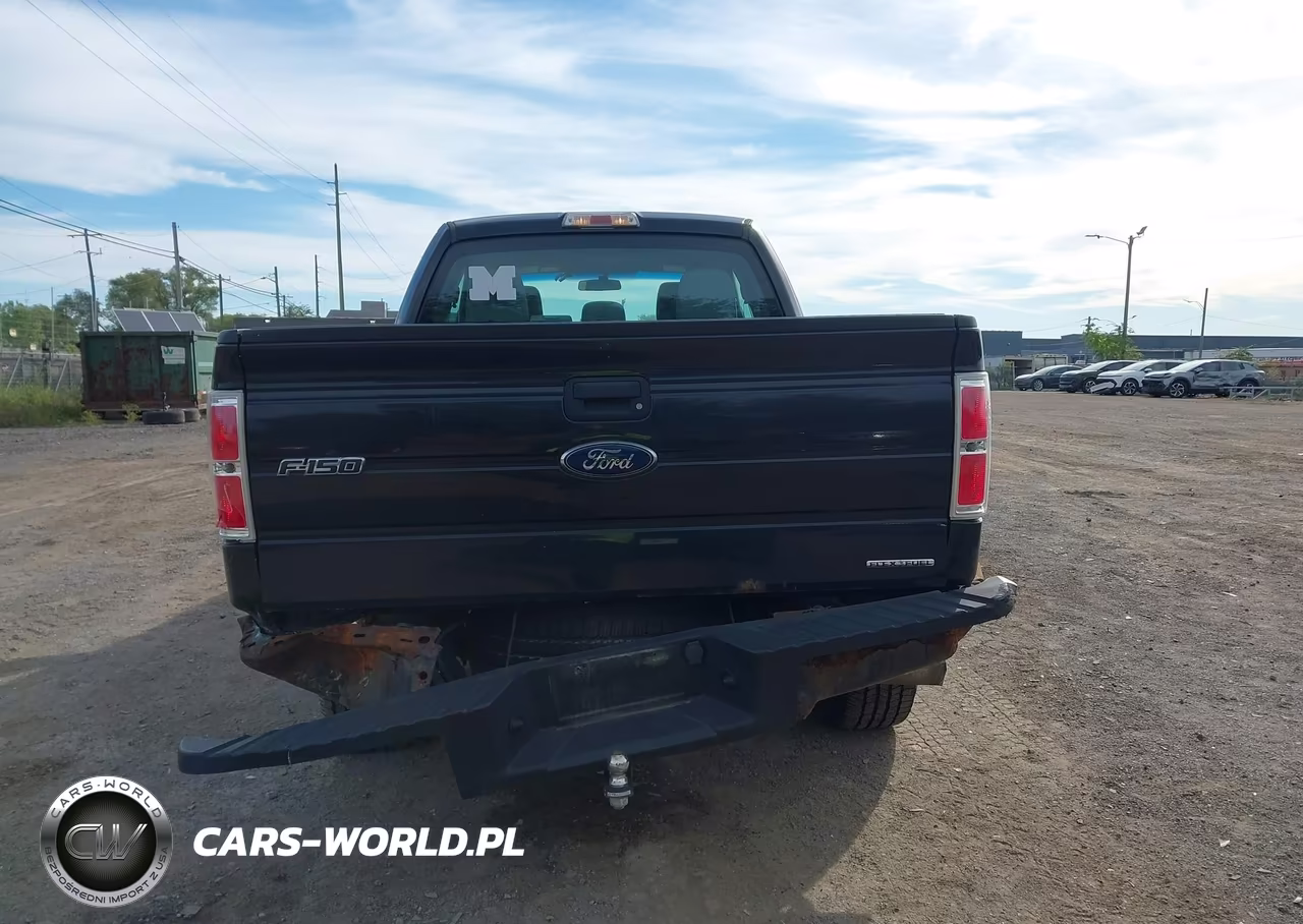 2013 Ford F-150 Stx VIN:1FTFX1EF8DFA14532 - 16