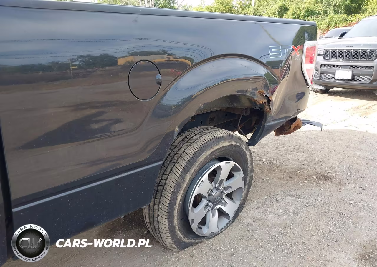2013 Ford F-150 Stx VIN:1FTFX1EF8DFA14532 - 19