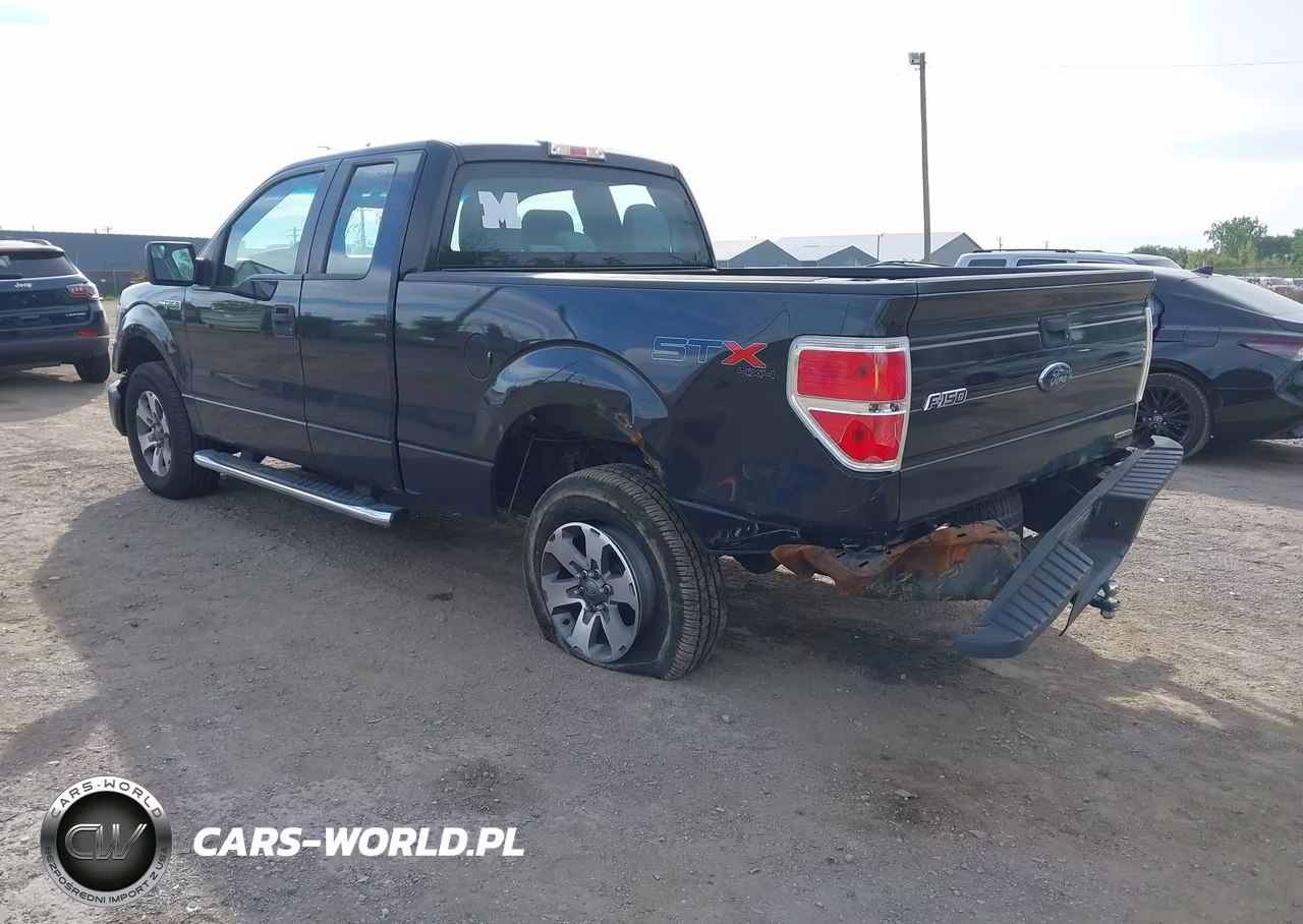 2013 Ford F-150 Stx VIN:1FTFX1EF8DFA14532 - 3