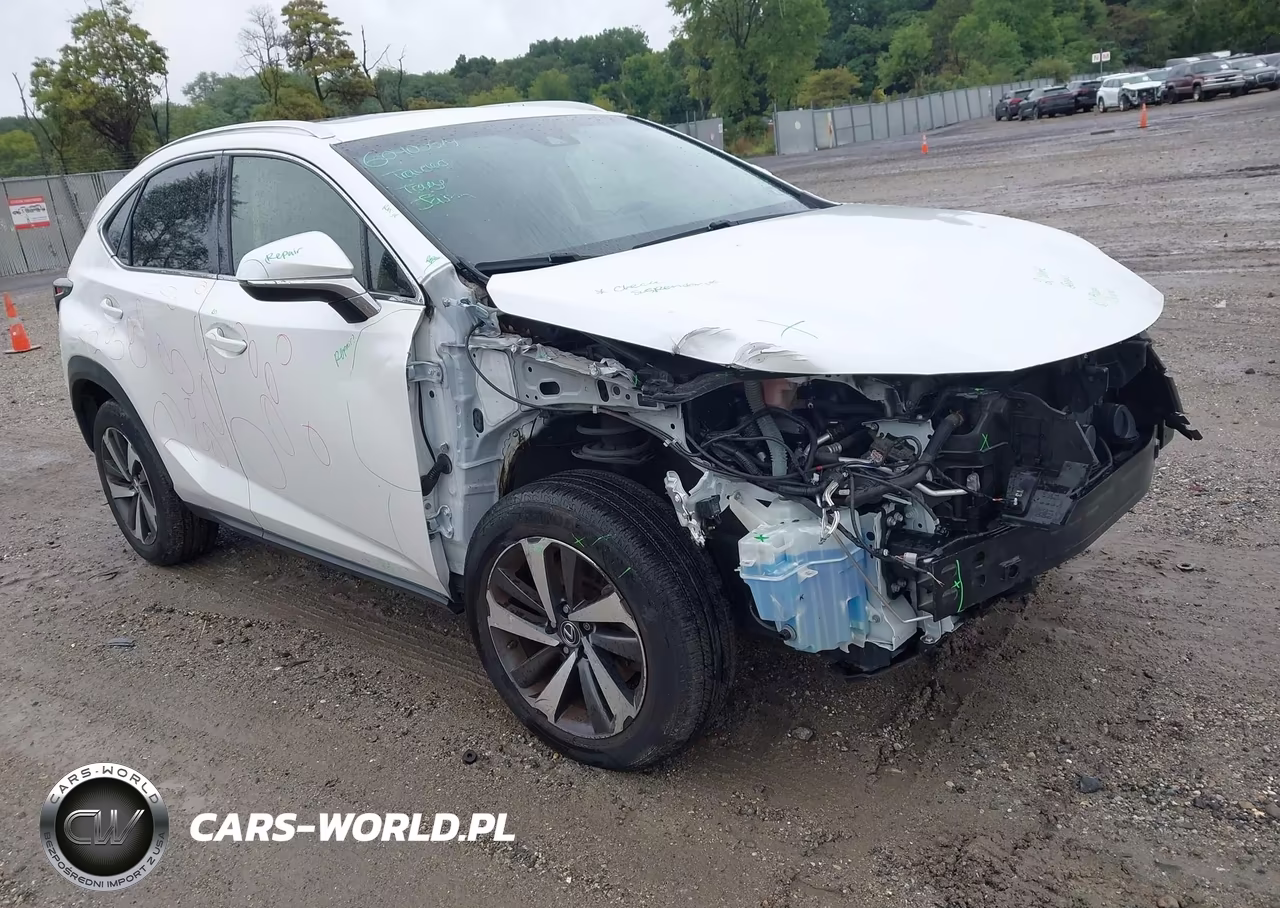 2019 Lexus Nx 300 VIN:JTJBARBZ1K2202226 - 1