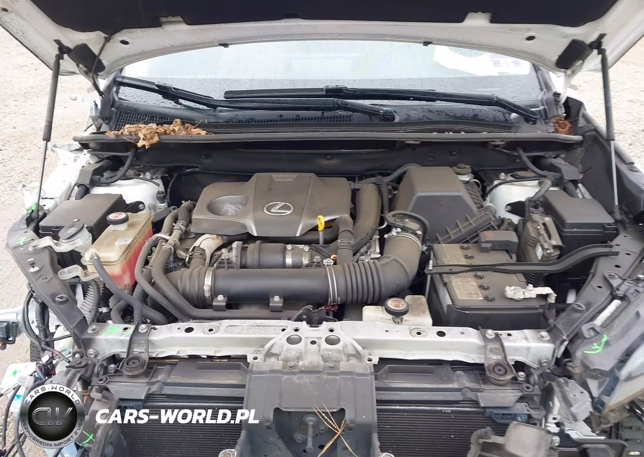 2019 Lexus Nx 300 VIN:JTJBARBZ1K2202226 - 10