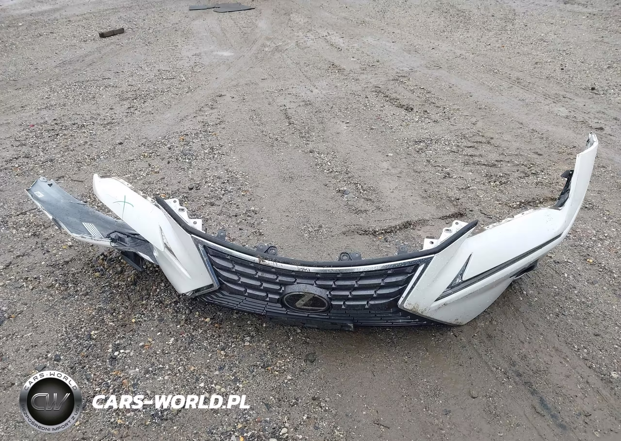2019 Lexus Nx 300 VIN:JTJBARBZ1K2202226 - 12