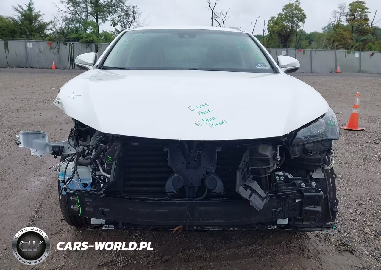 2019 Lexus Nx 300 VIN:JTJBARBZ1K2202226 - 13