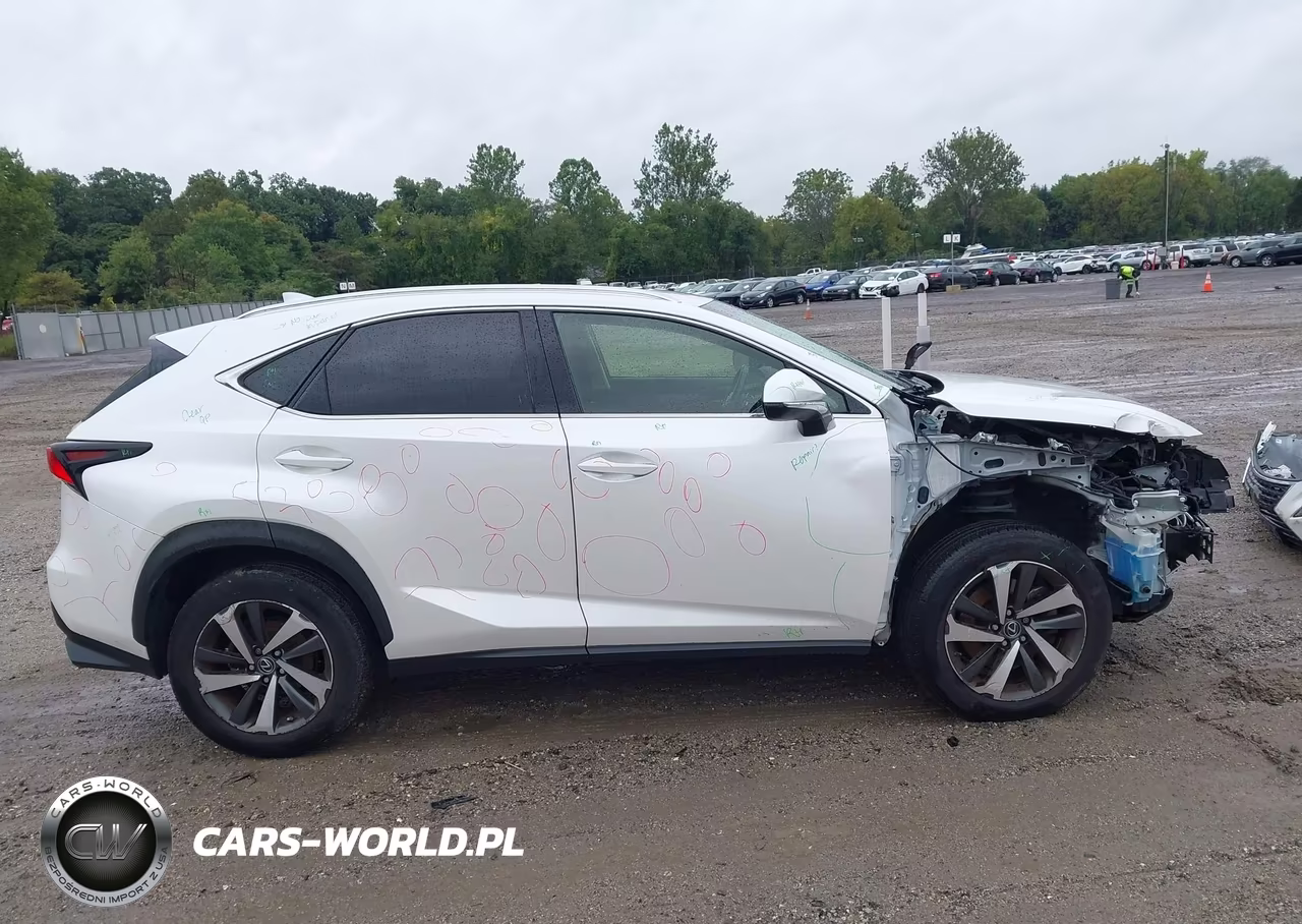 2019 Lexus Nx 300 VIN:JTJBARBZ1K2202226 - 14