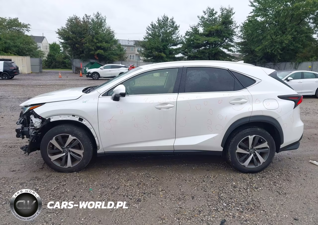 2019 Lexus Nx 300 VIN:JTJBARBZ1K2202226 - 15