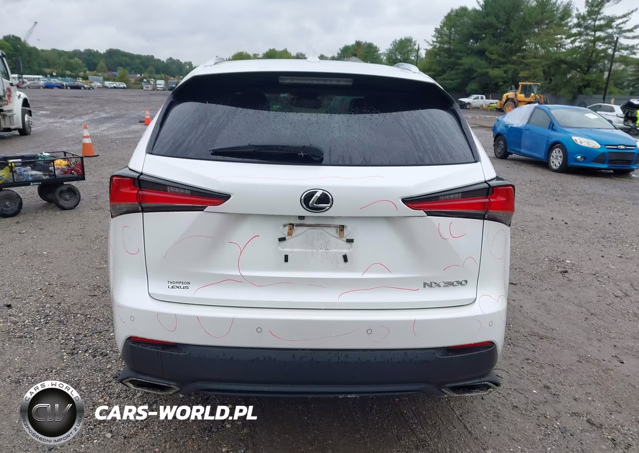 2019 Lexus Nx 300 VIN:JTJBARBZ1K2202226 - 17