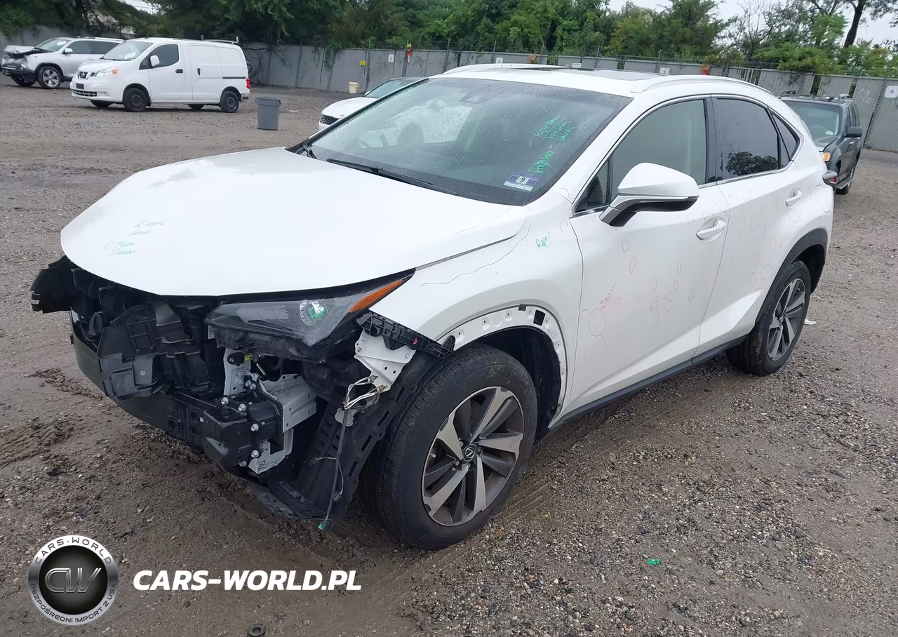 2019 Lexus Nx 300 VIN:JTJBARBZ1K2202226 - 2