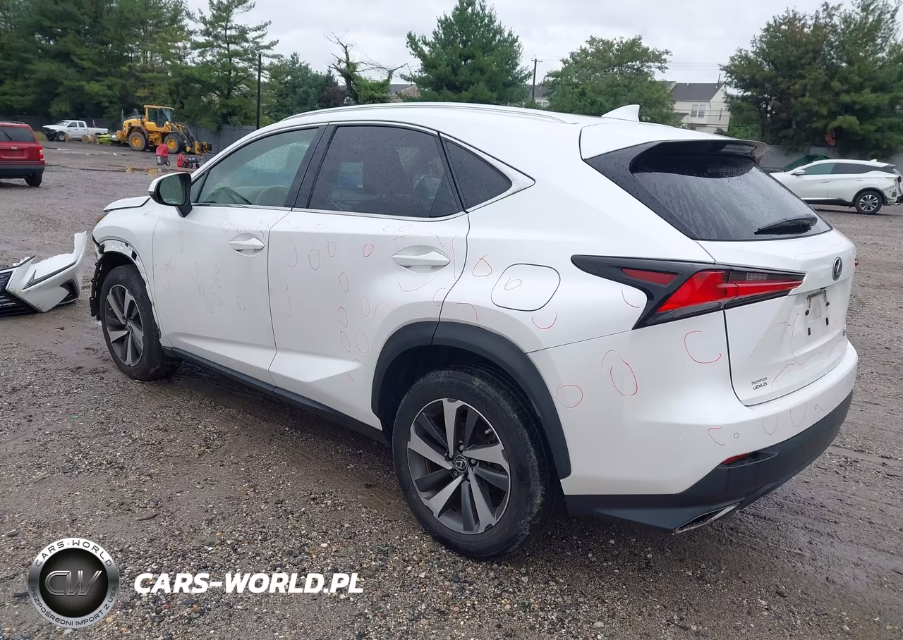 2019 Lexus Nx 300 VIN:JTJBARBZ1K2202226 - 3