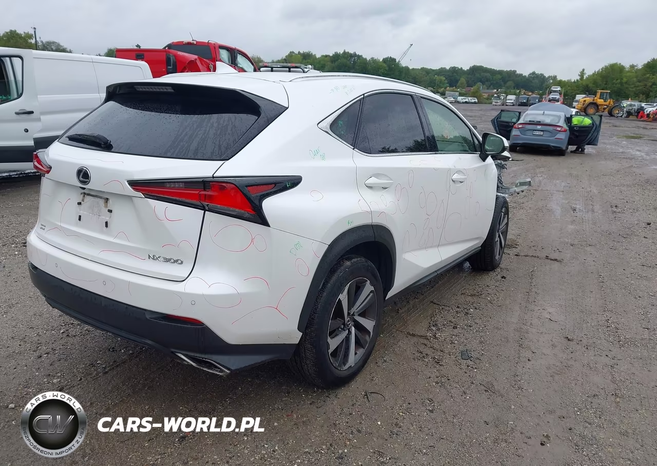 2019 Lexus Nx 300 VIN:JTJBARBZ1K2202226 - 4