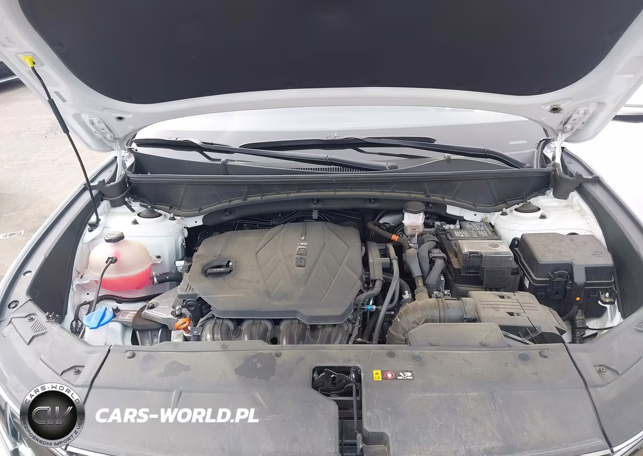 2024 Hyundai Tucson Limited VIN:5NMJE3DE7RH354995 - 10