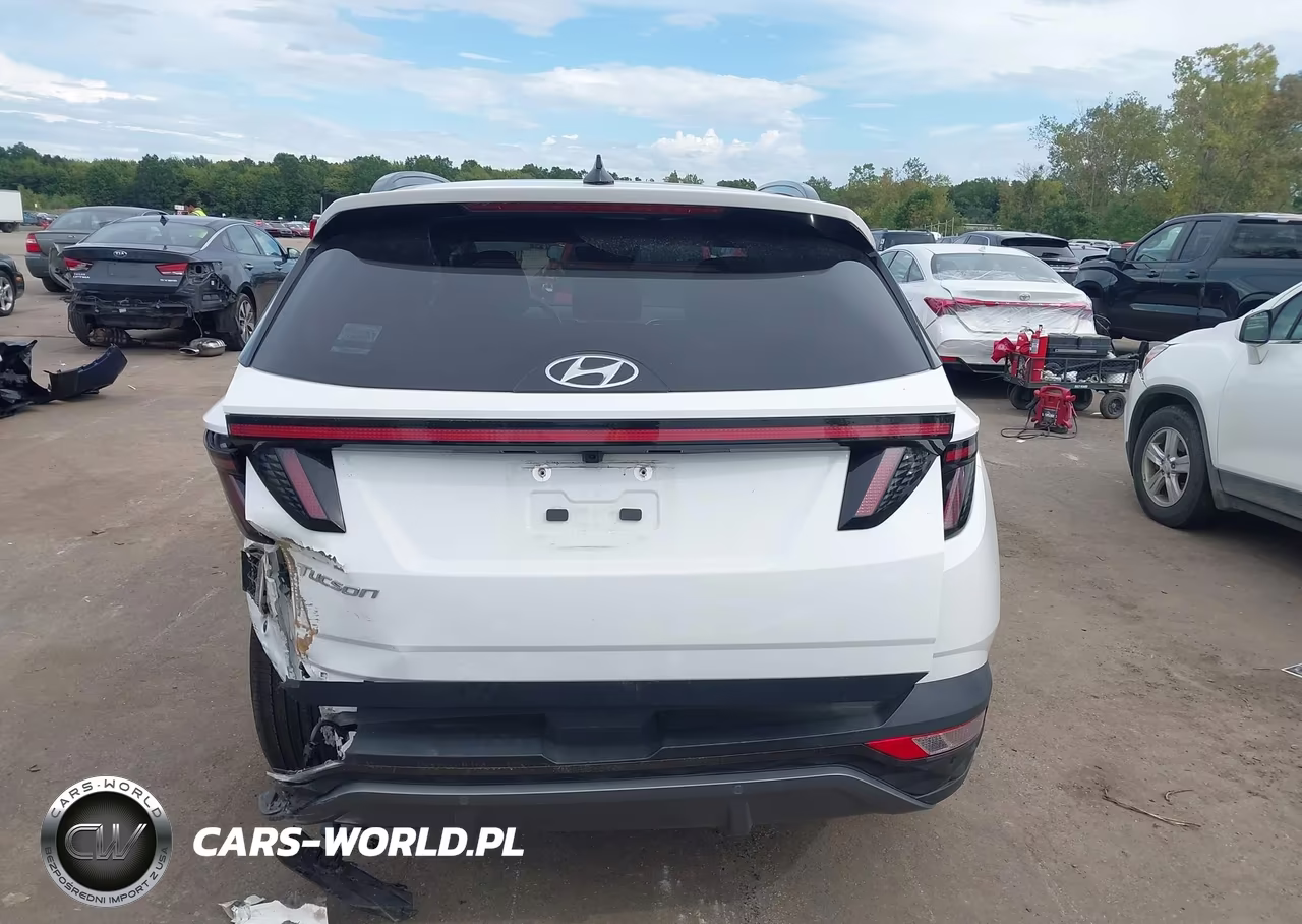 2024 Hyundai Tucson Limited VIN:5NMJE3DE7RH354995 - 17