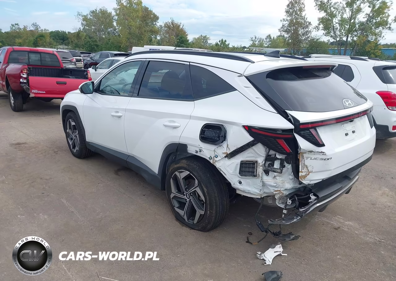 2024 Hyundai Tucson Limited VIN:5NMJE3DE7RH354995 - 3
