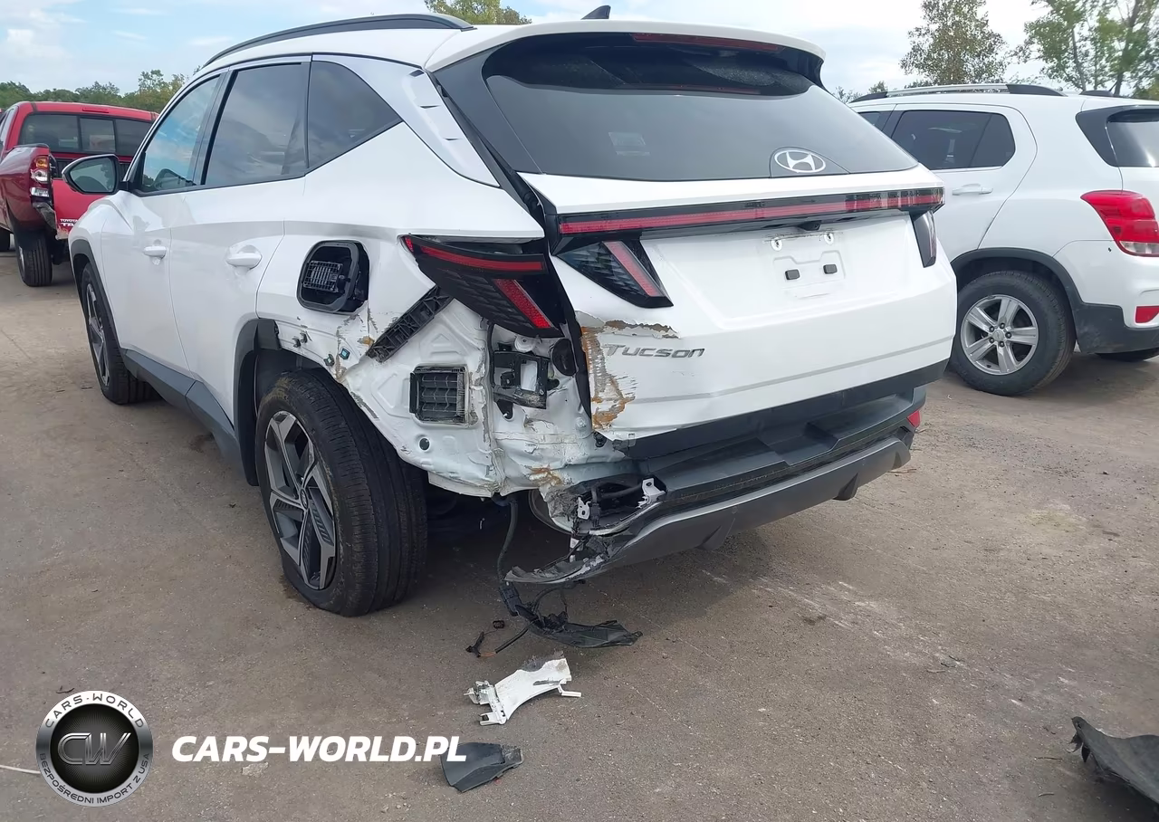 2024 Hyundai Tucson Limited VIN:5NMJE3DE7RH354995 - 6