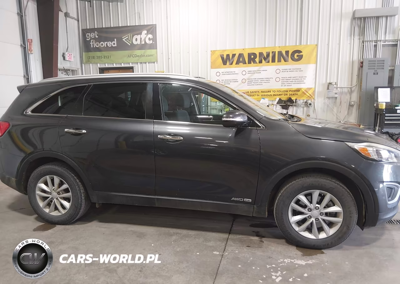 2017 Kia Sorento Lx V6 VIN:5XYPGDA55HG334462 - 13