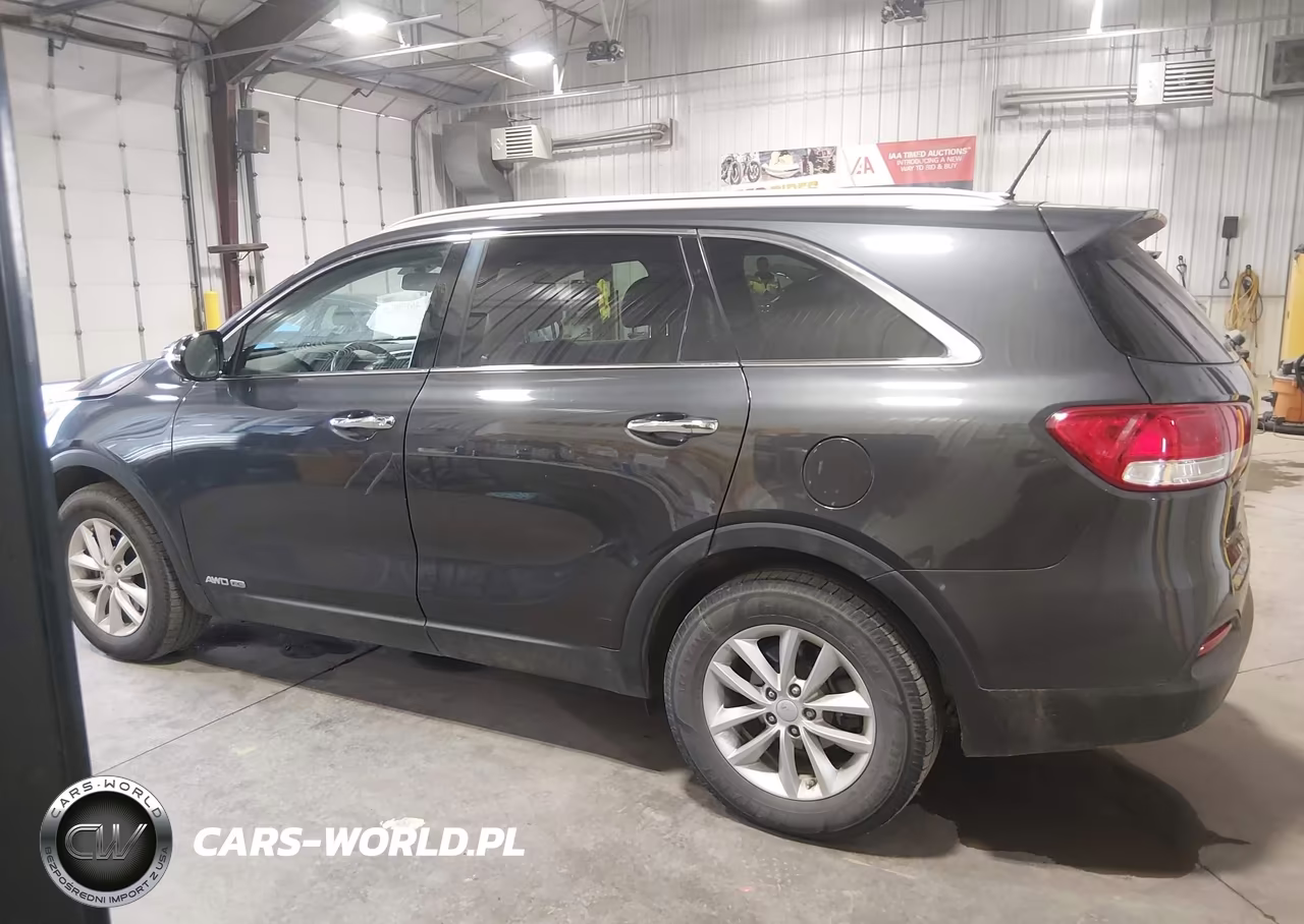 2017 Kia Sorento Lx V6 VIN:5XYPGDA55HG334462 - 14