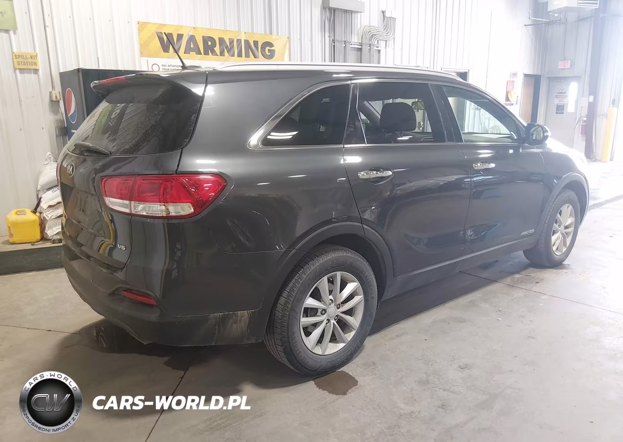 2017 Kia Sorento Lx V6 VIN:5XYPGDA55HG334462 - 4
