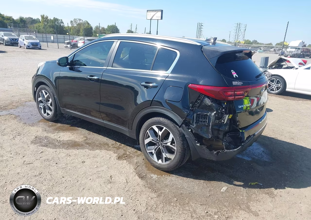 2020 Kia Sportage Ex VIN:KNDPN3AC3L7718356 - 3