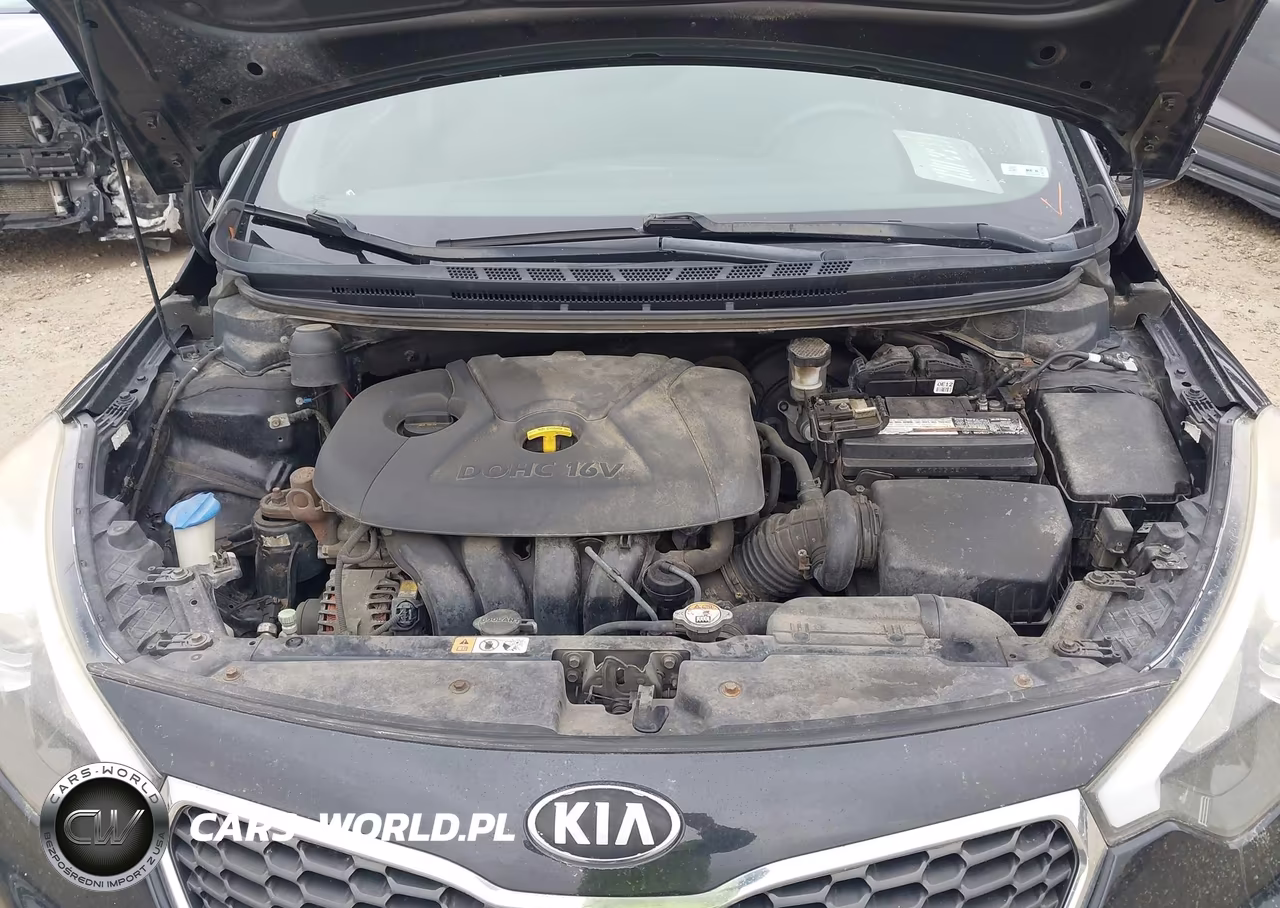 2014 Kia Forte Lx VIN:KNAFK4A60E5144542 - 10