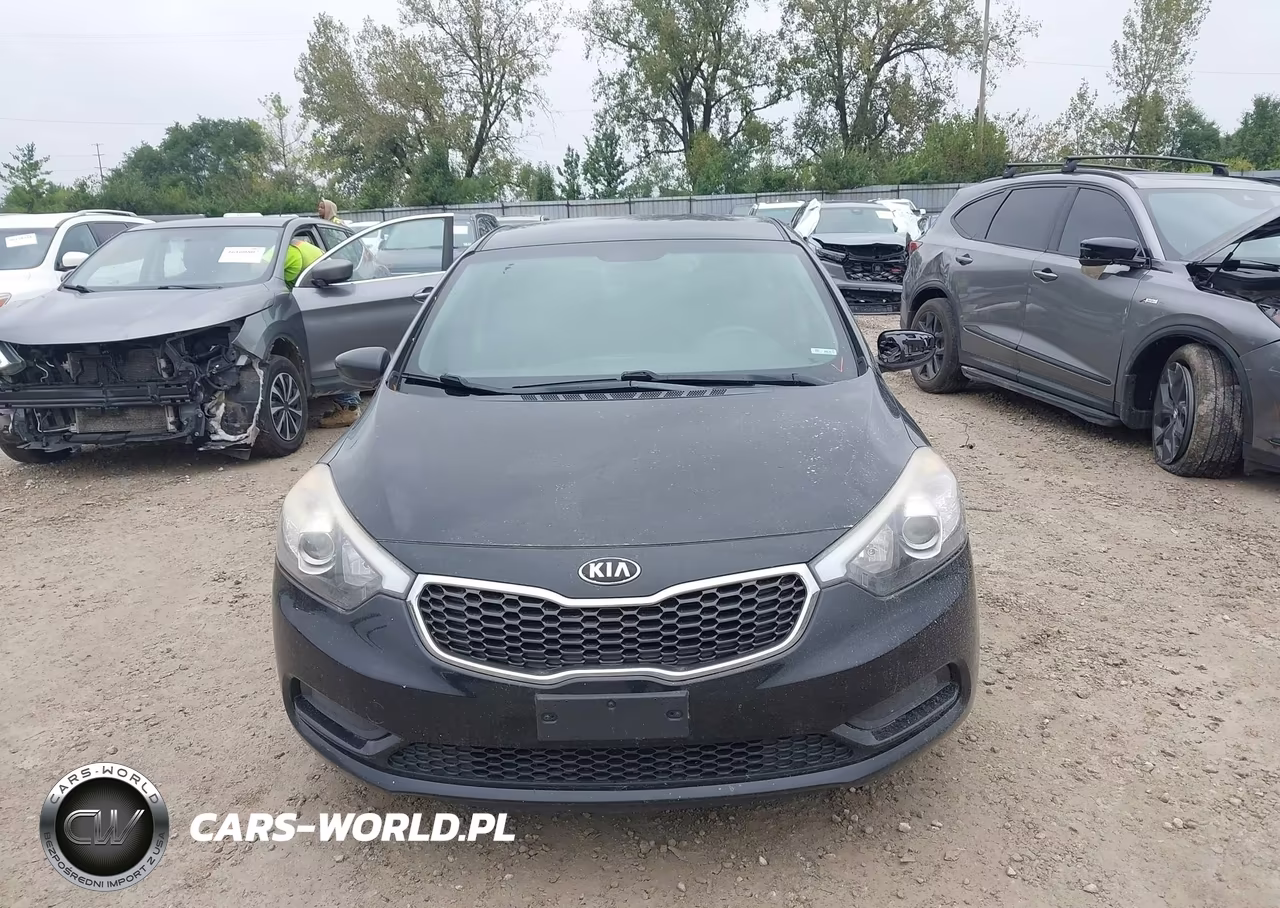 2014 Kia Forte Lx VIN:KNAFK4A60E5144542 - 12