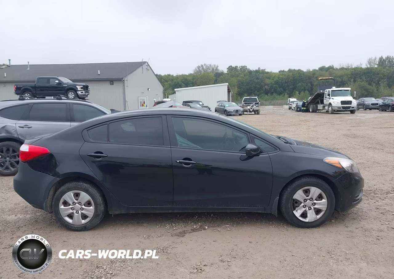 2014 Kia Forte Lx VIN:KNAFK4A60E5144542 - 13