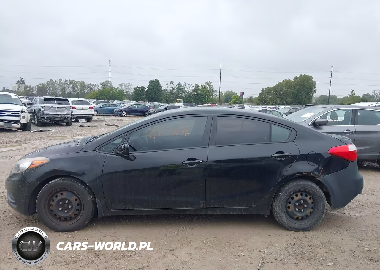 2014 Kia Forte Lx VIN:KNAFK4A60E5144542 - 14