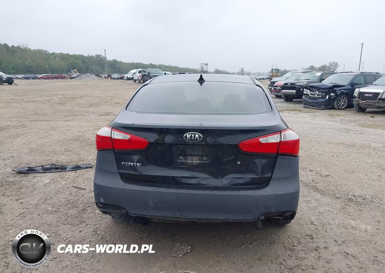 2014 Kia Forte Lx VIN:KNAFK4A60E5144542 - 16