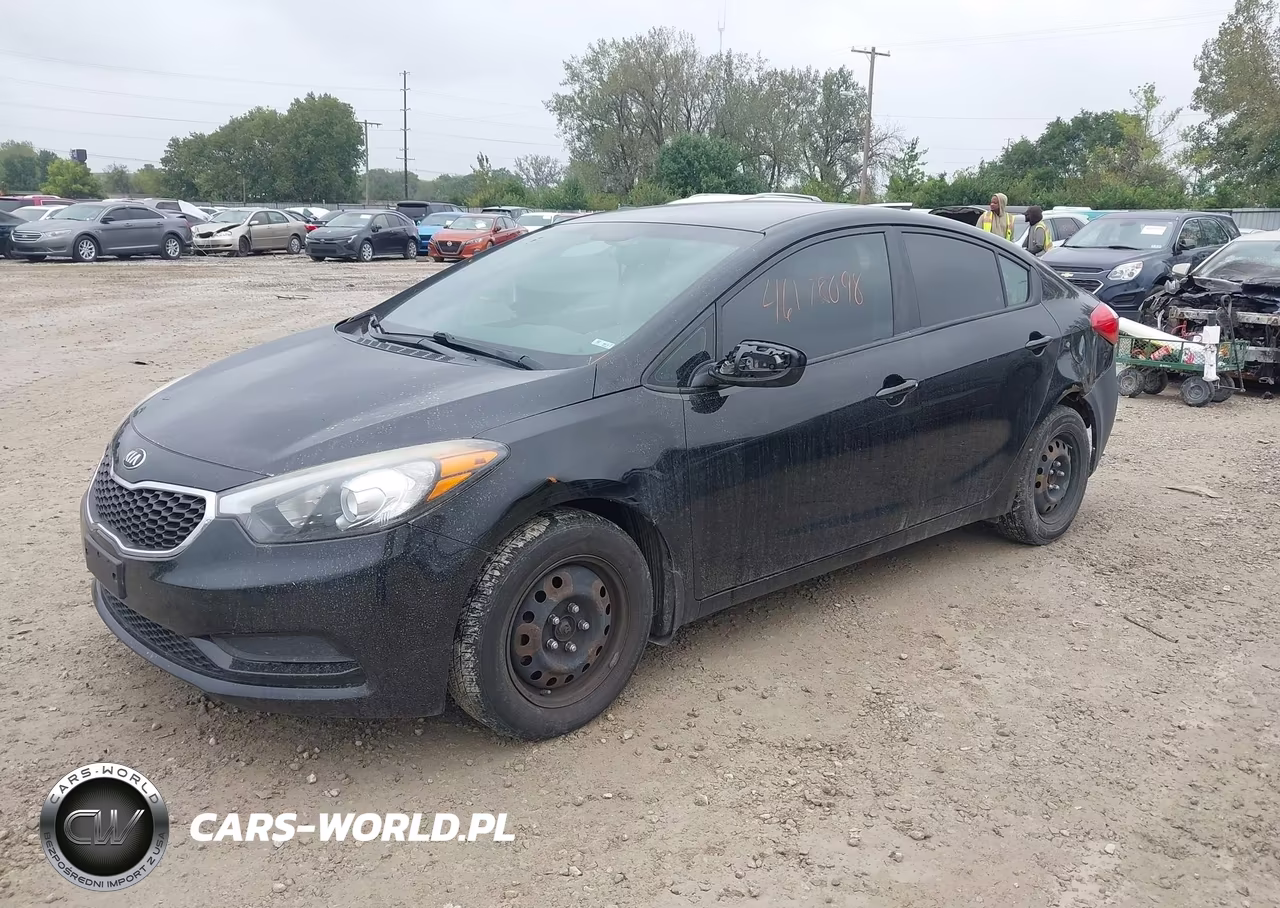 2014 Kia Forte Lx VIN:KNAFK4A60E5144542 - 2
