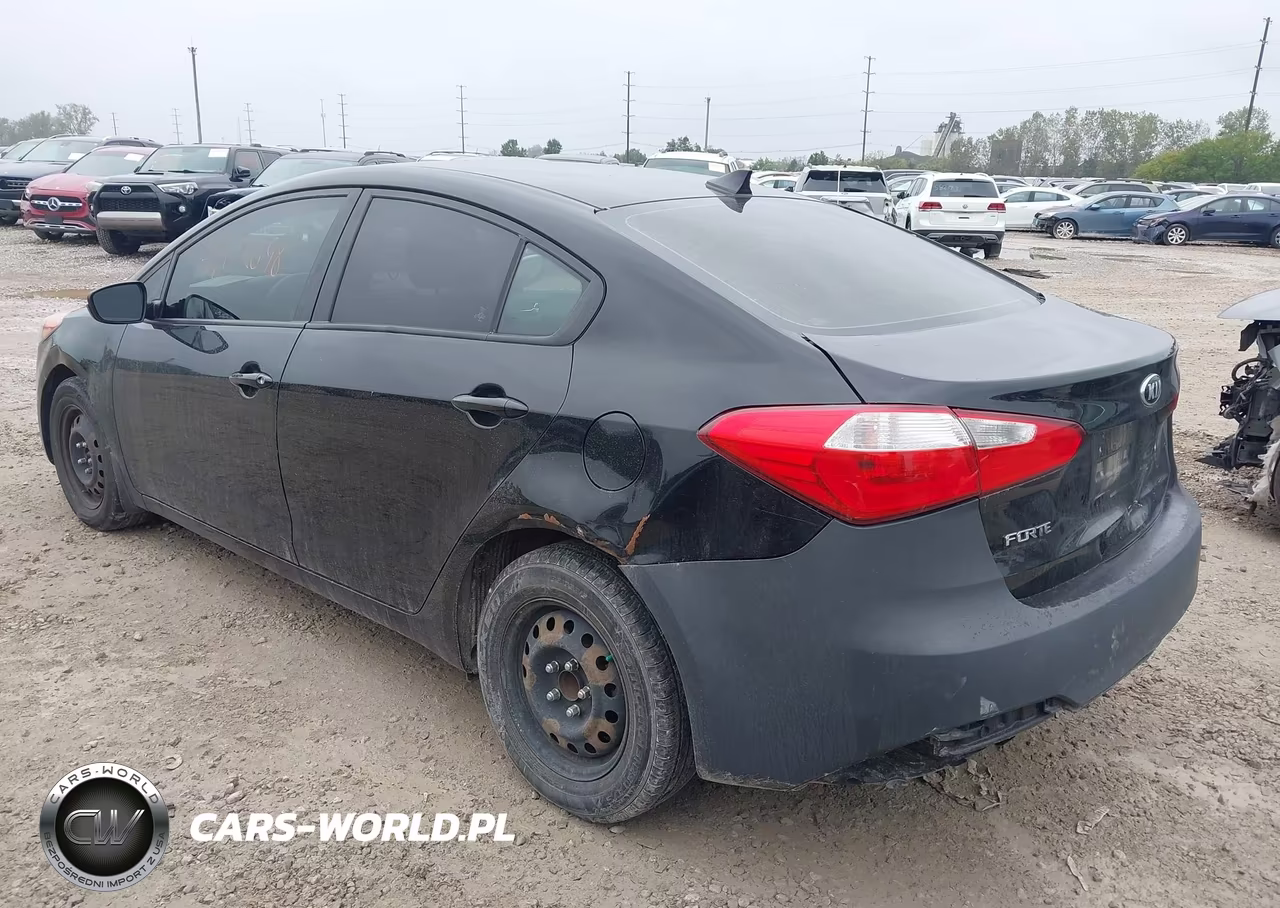2014 Kia Forte Lx VIN:KNAFK4A60E5144542 - 3