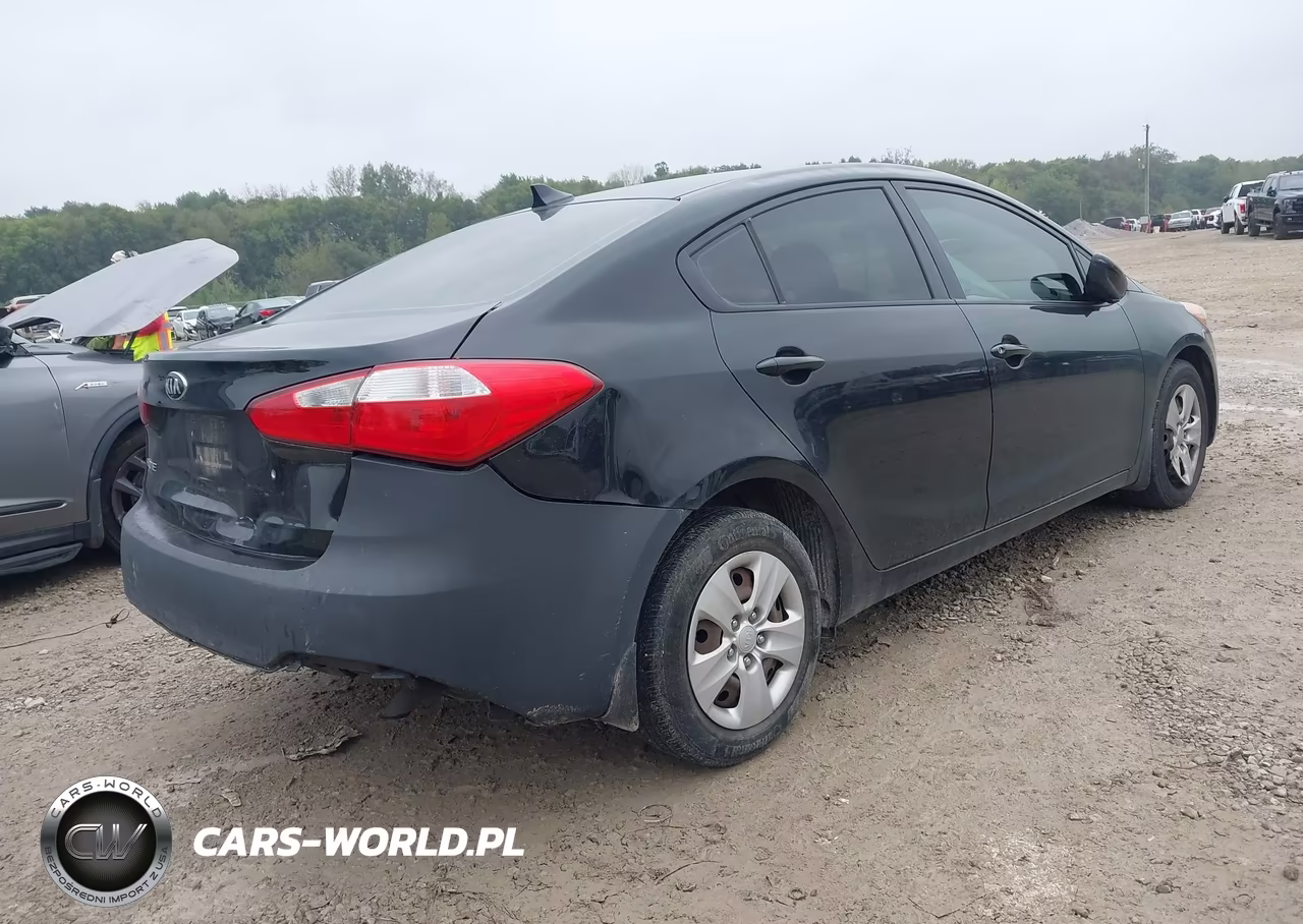 2014 Kia Forte Lx VIN:KNAFK4A60E5144542 - 4