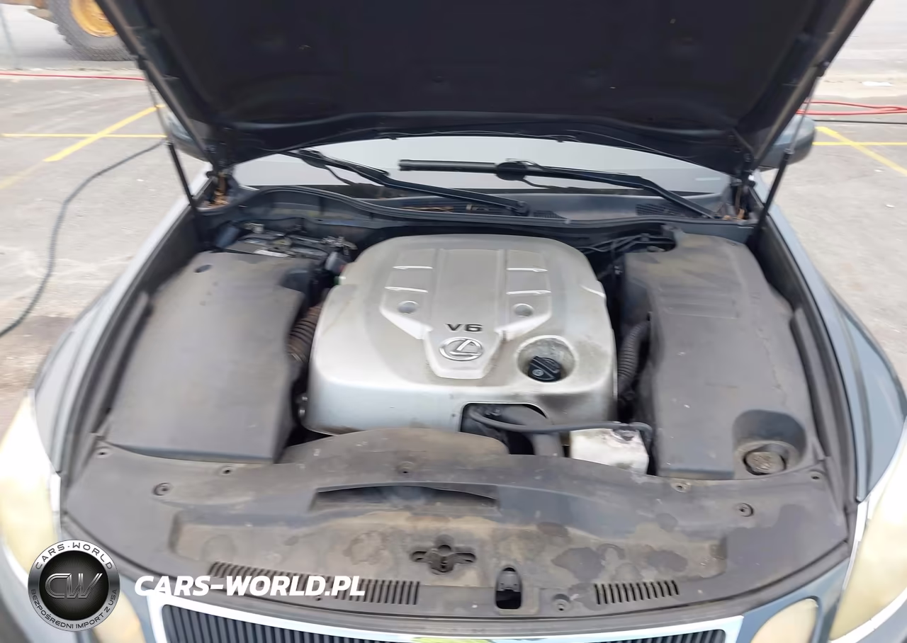 2006 Lexus Gs 300 VIN:JTHBH96SX65029126 - 10