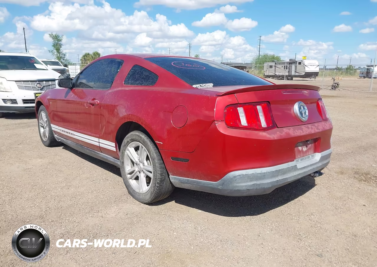 2010 Ford Mustang V6-V6 Premium VIN:1ZVBP8AN3A5104822 - 3